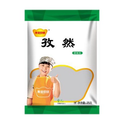 孜然烧烤撒料 腌料 商用家用25g烤肉炸串炒菜餐饮地摊 调味料批发