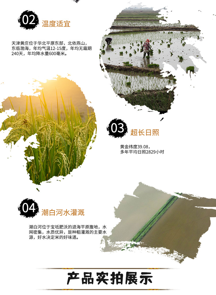 未标题-1_04.jpg