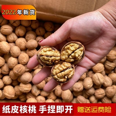 2022年新纸皮核桃 原味核桃 手捏即开 坚果炒货 新疆核桃散装批发