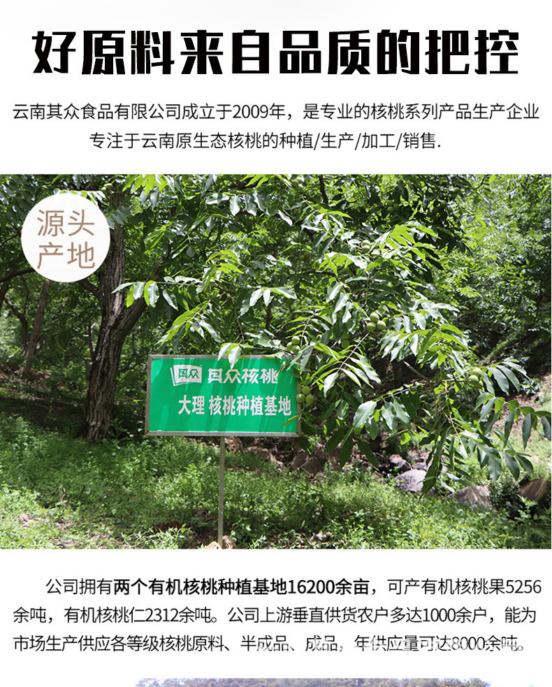 脱皮核桃仁_07_02.jpg