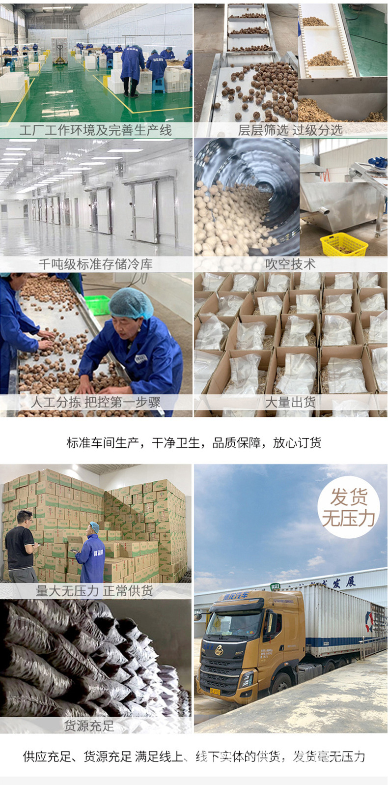 脱皮核桃仁_09.jpg