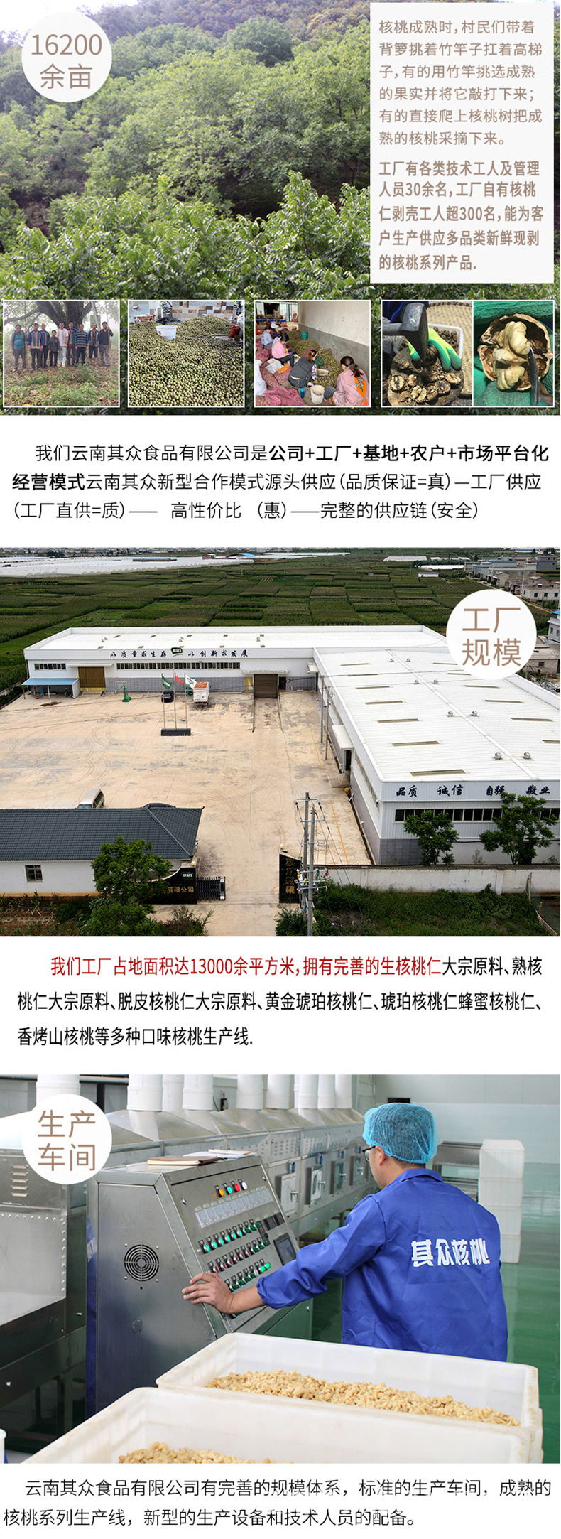 脱皮核桃仁_08.jpg