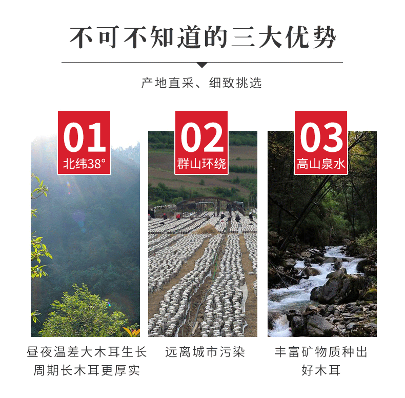 微信图片_20190620224400_03