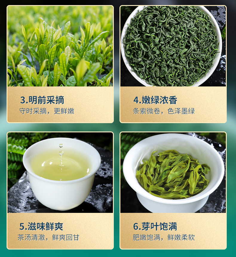 高山绿茶详情_05