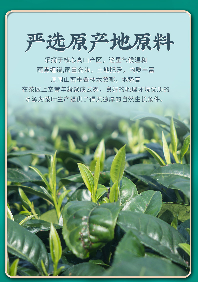 高山绿茶详情_06