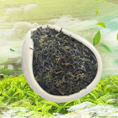 2023 新茶山东日照绿茶 日照巨峰卜落绿茶厂家供应批发价格