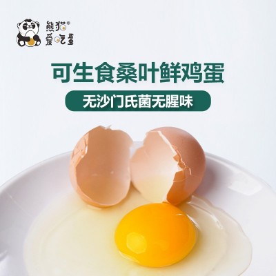 新鲜桑叶鸡蛋孕妇儿童无菌可生食高钙富硒熊猫爱吃蛋礼品18枚包邮