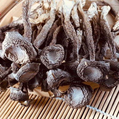 【买一箱送半斤】特 级野生菌鹿茸菇干货批发 整件散装地毯鹿茸菇