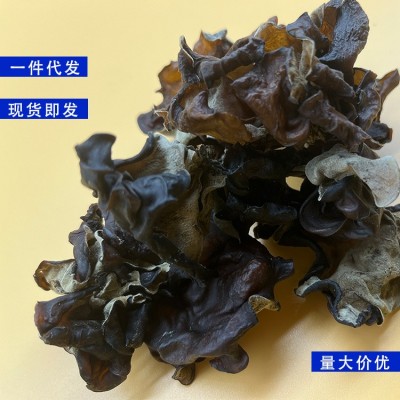 【基地直供】白背黑木耳毛木耳无根散装批发木耳干货优质500g云耳