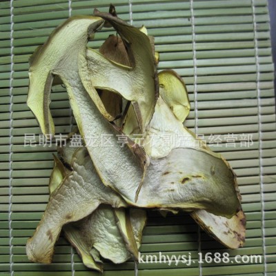 白葱 白葱菌 黄牛肝 白葱牛肝菌批发 野生食用农产品