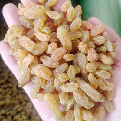 无籽葡萄干批发 新疆大颗粒散装干果休闲零食麻籽 黄果绿果葡萄干