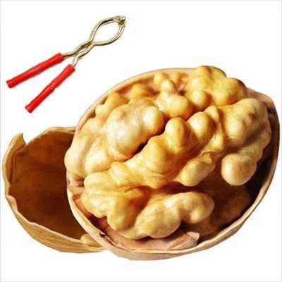 阿克苏纸皮核桃大量批发500g 新疆薄皮坚果核桃原味手剥生核桃