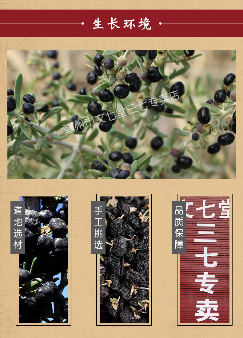 黑枸杞_05