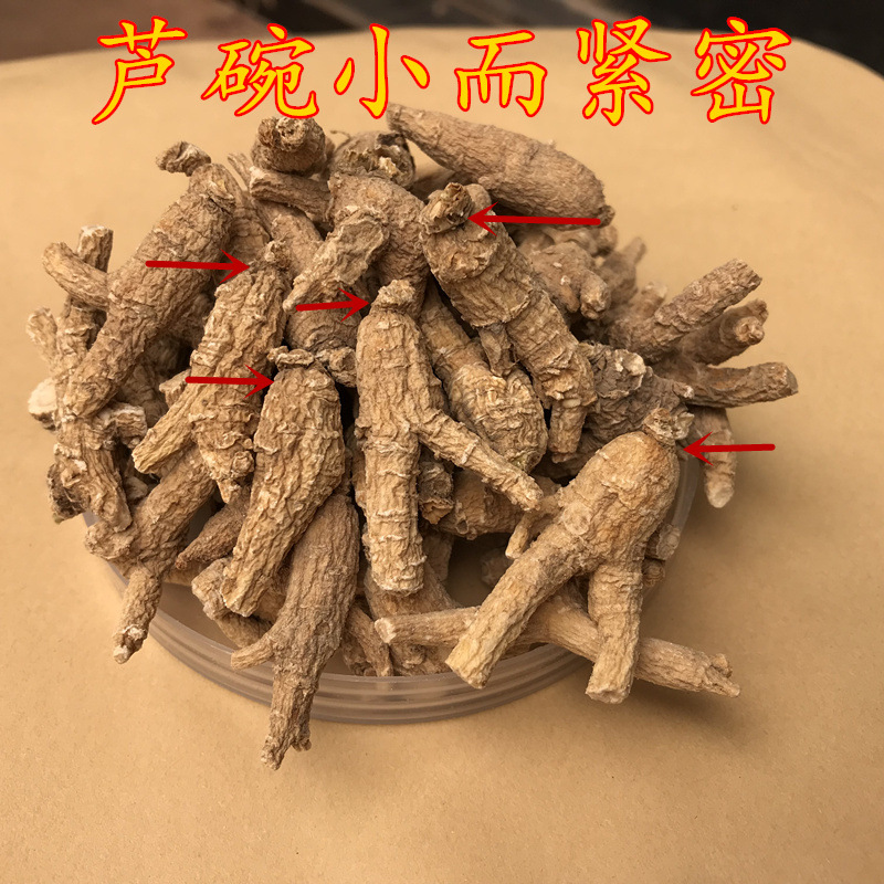 X4+_副本