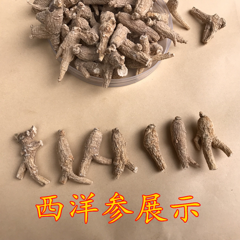 X5_副本