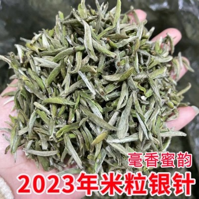 2023年福鼎的白茶 头春头采白毫银针春茶叶散茶米芽银针茶叶批发