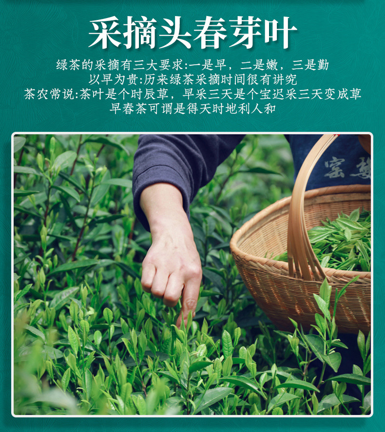碧螺春_09.jpg