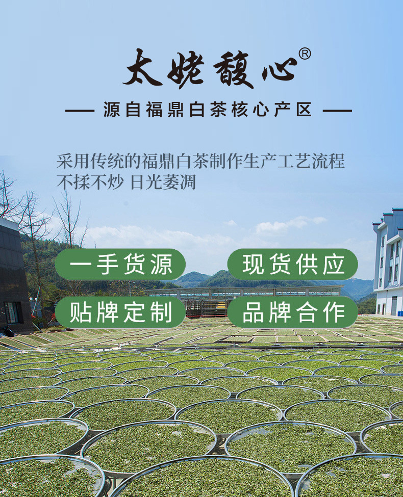 2018年荒野白牡丹饼_25.jpg