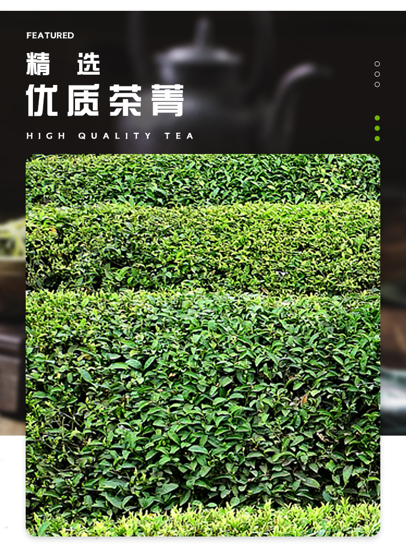 详情模板_03.jpg