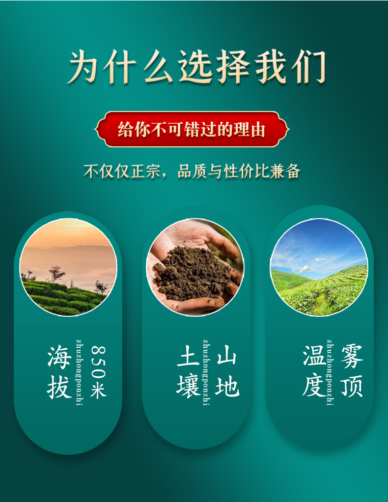 详情_03.jpg
