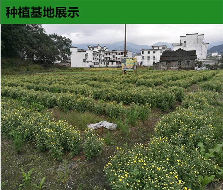 3_副本