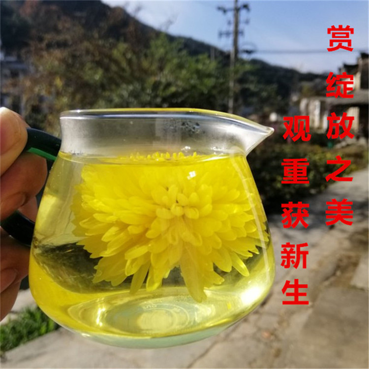 12_副本_副本_副本