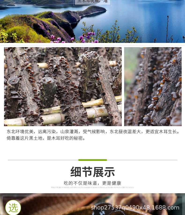 小碗耳_04.jpg