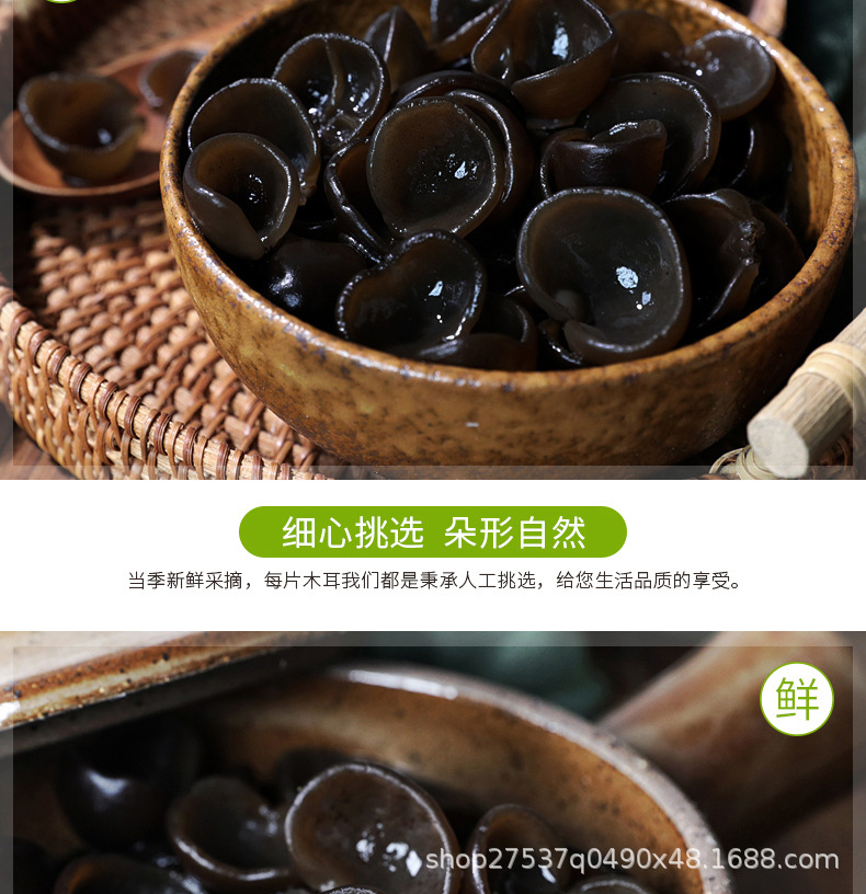 小碗耳_05.jpg