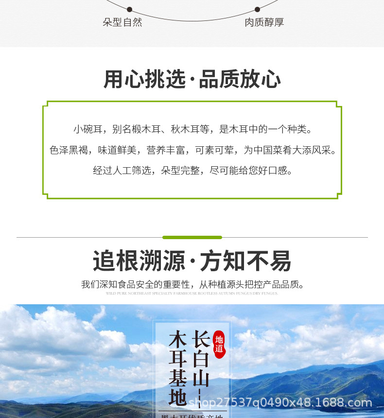 小碗耳_03.jpg