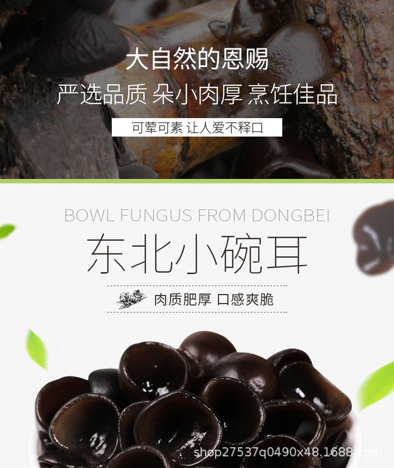 小碗耳_01.jpg