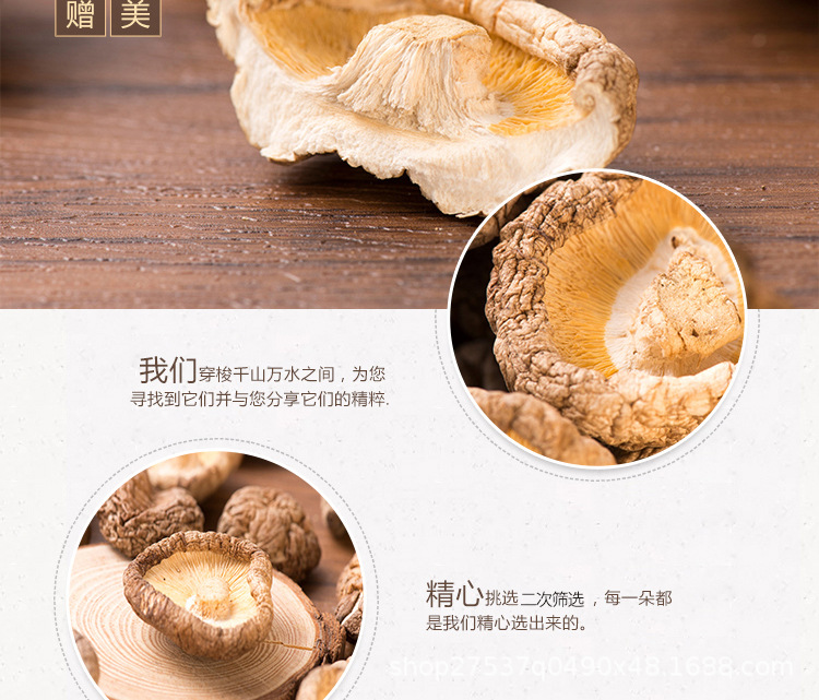 香菇_04.jpg