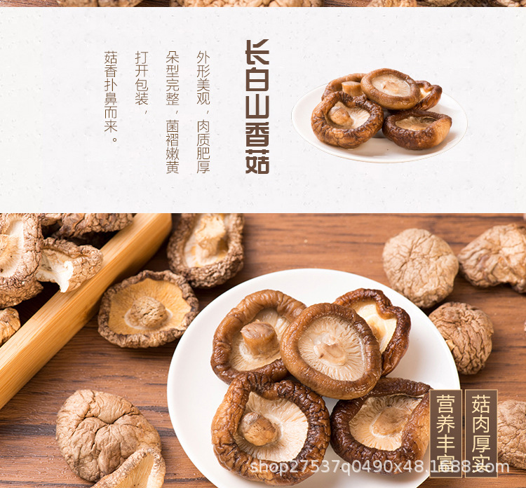 香菇_02.jpg