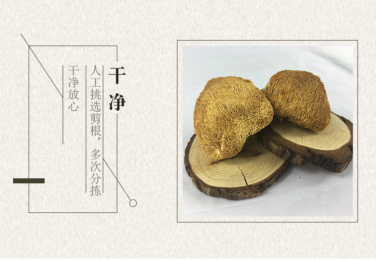 山水系列-猴头菇_06.jpg