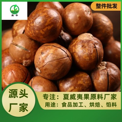 云南夏威夷果特大批发每日坚果原味新货烘焙食品整箱散装批发干果