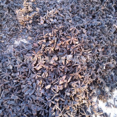 广西八角黑果渣 产地货源八角大茴香调味香料火锅底 八角黑果