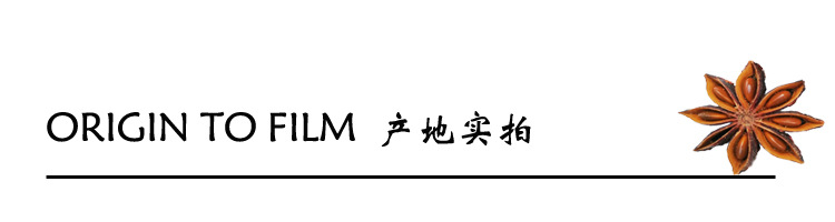 联系我们