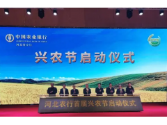 金融活水润“三夏” 助农惠企保民生