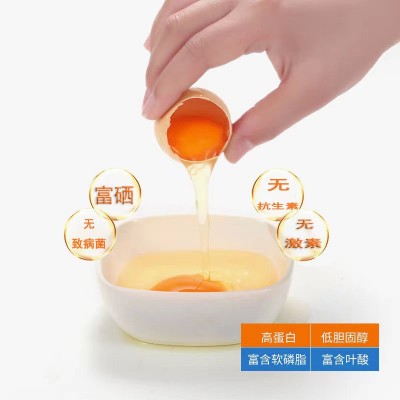 固墙珍珠鸡蛋富硒无抗 新鲜现捡30枚溏心无激素鸡蛋珍珠棉装