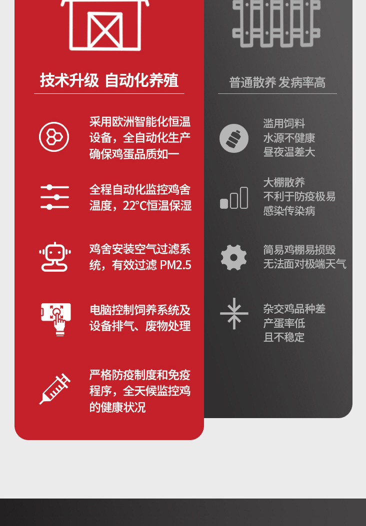详情页二稿4