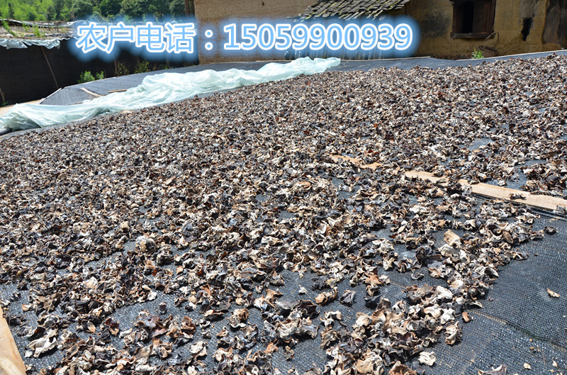 DSC_2405_副本