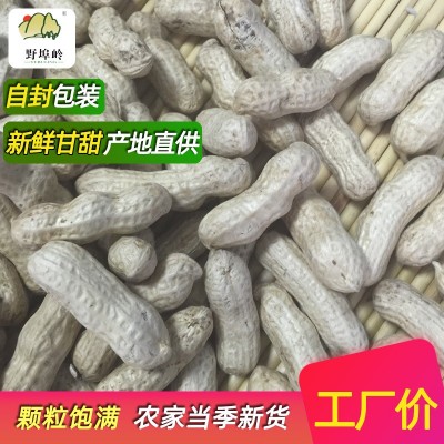 带壳生花生新货新鲜晒干农家自种自留种可做种子大粒粉红皮花生