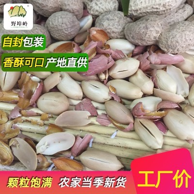 野埠岭山东农家现炒花生原味带壳现炒现发 农家铁锅炒熟花生500g