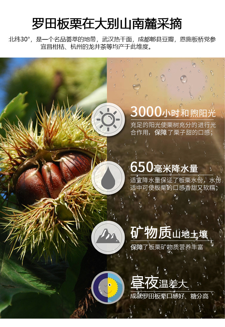 产品详情页-小栗哥-罐装_08.jpg