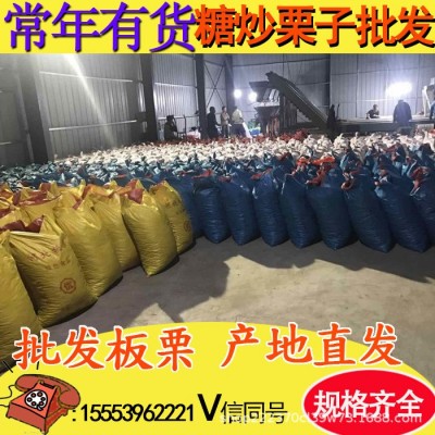 板栗批发生栗子野生小毛栗子油栗子迁西板栗老树板栗山东板栗批发