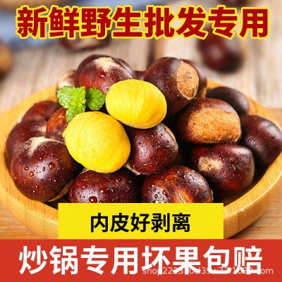 鲜板栗批发炒锅专用迁西板栗山东板栗100斤批发一件代发支持订货