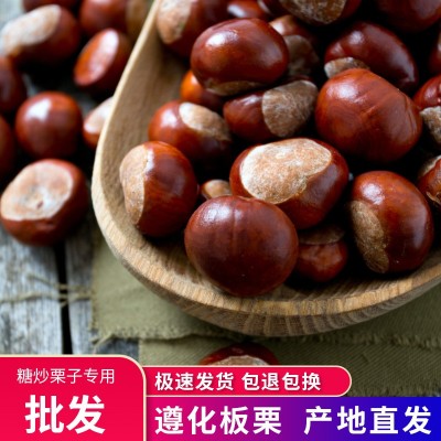 2022正宗遵化板栗批发 河北板栗生新鲜 油栗糖炒栗子鲜栗子100斤
