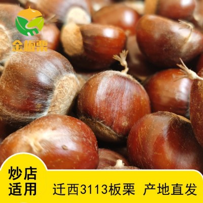 金板栗王萱店燕山老树迁西3113板栗青龙3113板栗早期板栗产区直发