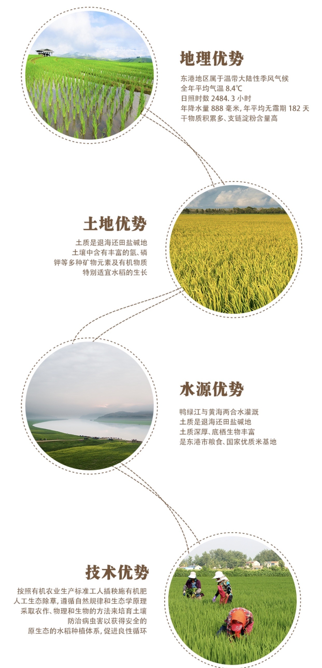 种植