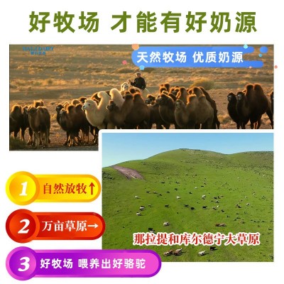 酷优高儿童学生成长奶粉高钙乳铁蛋白3-15岁