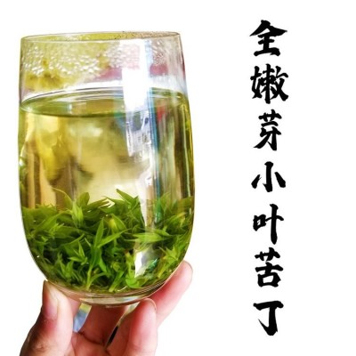 小叶苦丁2023新茶散装厂家批发口粮茶叶原产地